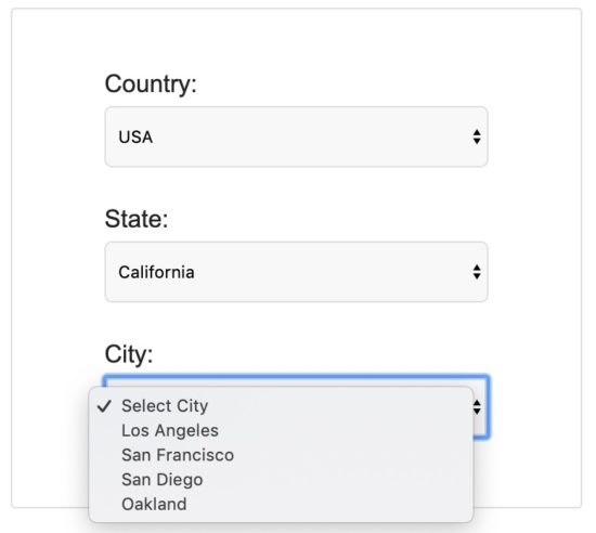 Country-State-City Dependent Dropdown Example Output