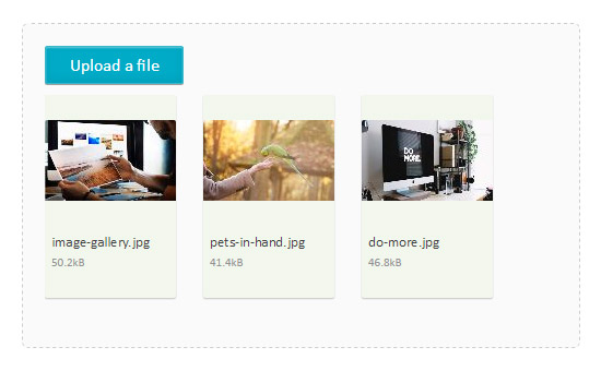 multiple-image-upload